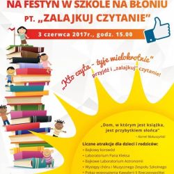 Festyn szkolny w Krotoszynie - 03.06.2017